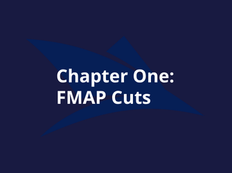 FMAP Cuts & Medicaid Funding | Agilian 2025 Playbook